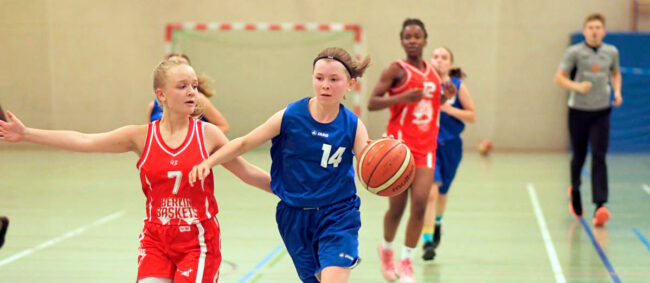 wu16-basktes-006 wu16 LL